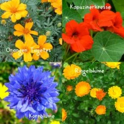 Blumensamen-Set Gourmet Blumen, Essbar, Bienenfreundlich, Dekorativ -Stihl Pflanzen Verkauf 0710403583 Blumensamen Set Gourmet Blumen 4essbare Sorten mit organ Duenger 5 60480