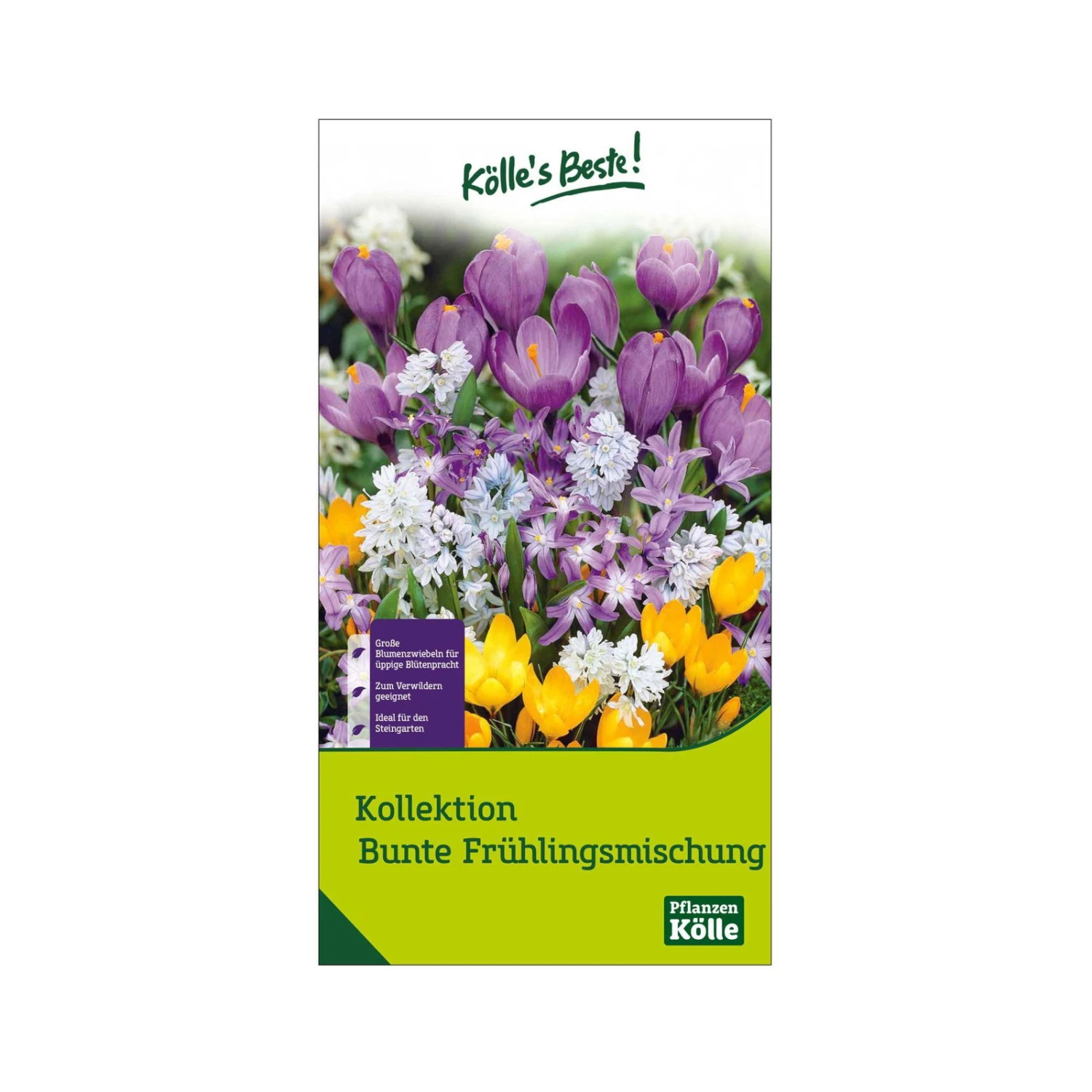 Bunte Frühlingsmischung, 100 Blumenzwiebeln 1 Bunte Frühlingsmischung, 100 Blumenzwiebeln