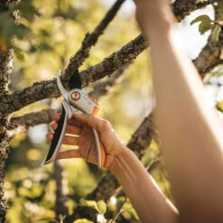 Fiskars Bypass Gartenschere P531 Smartfit -Stihl Pflanzen Verkauf 0920300709 Plus Metall Bypass Gartenschere P531 Smartfit 2 115514