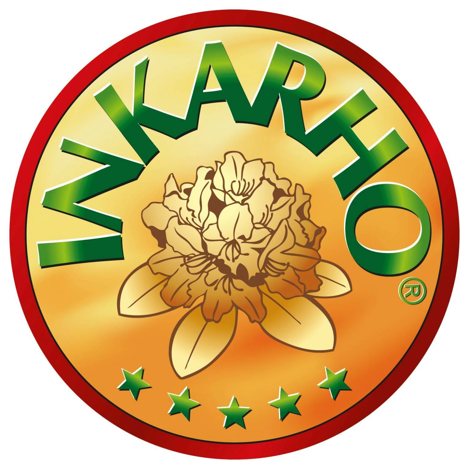 Rhododendron 'Bloombux'® Pink, 6er-Set, Höhe 20-25 Cm, Topf 2 Liter 7 Rhododendron 'Bloombux'® Pink, 6er-Set, Höhe 20-25 Cm, Topf 2 Liter – Bild 7