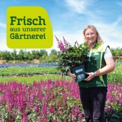 Ausgewählte Produkte -Stihl Pflanzen Verkauf frau setz eigenproduktion 4